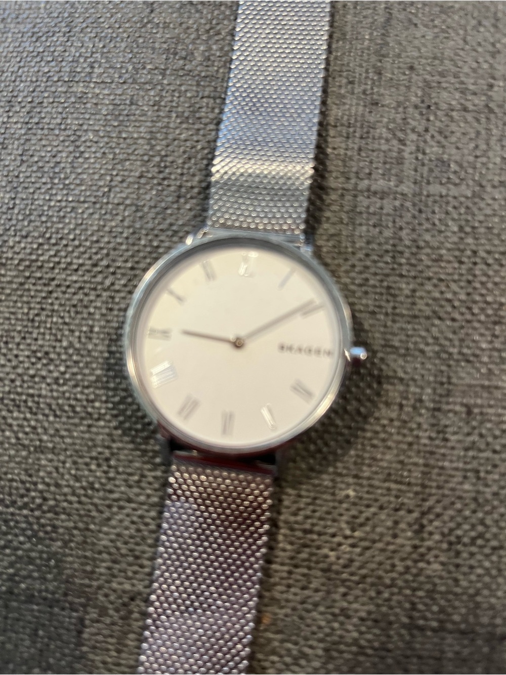Skagen Silver Mesh Watch with White Dial